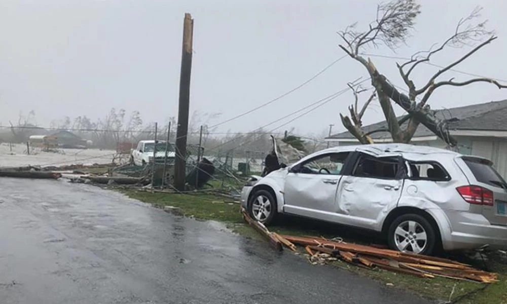 Οδηγός γλυτώνει στο παρά πέντε από πελώριο δέντρο που καταρρέει